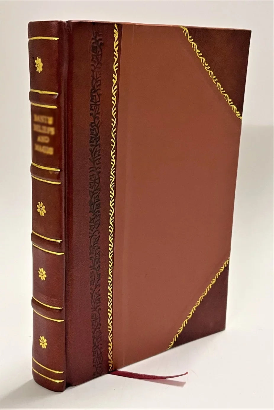 Elogio Maria Bianchi / Rumori (1857) [Leather Brunelli Bound] nata Eugenio di