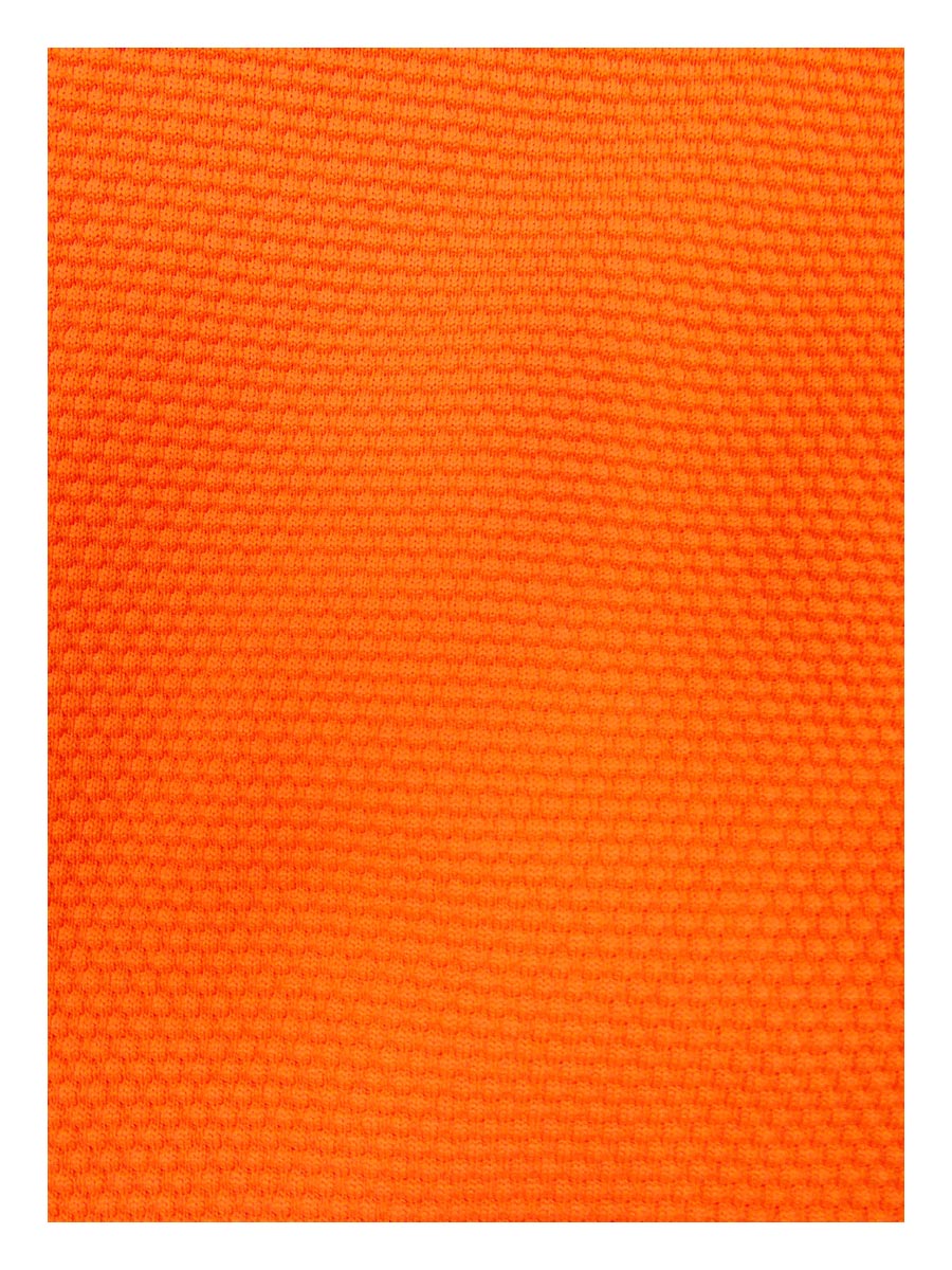 Miro Women's Ursula Bottom (S, Waist High Bikini Orange) Alexandra