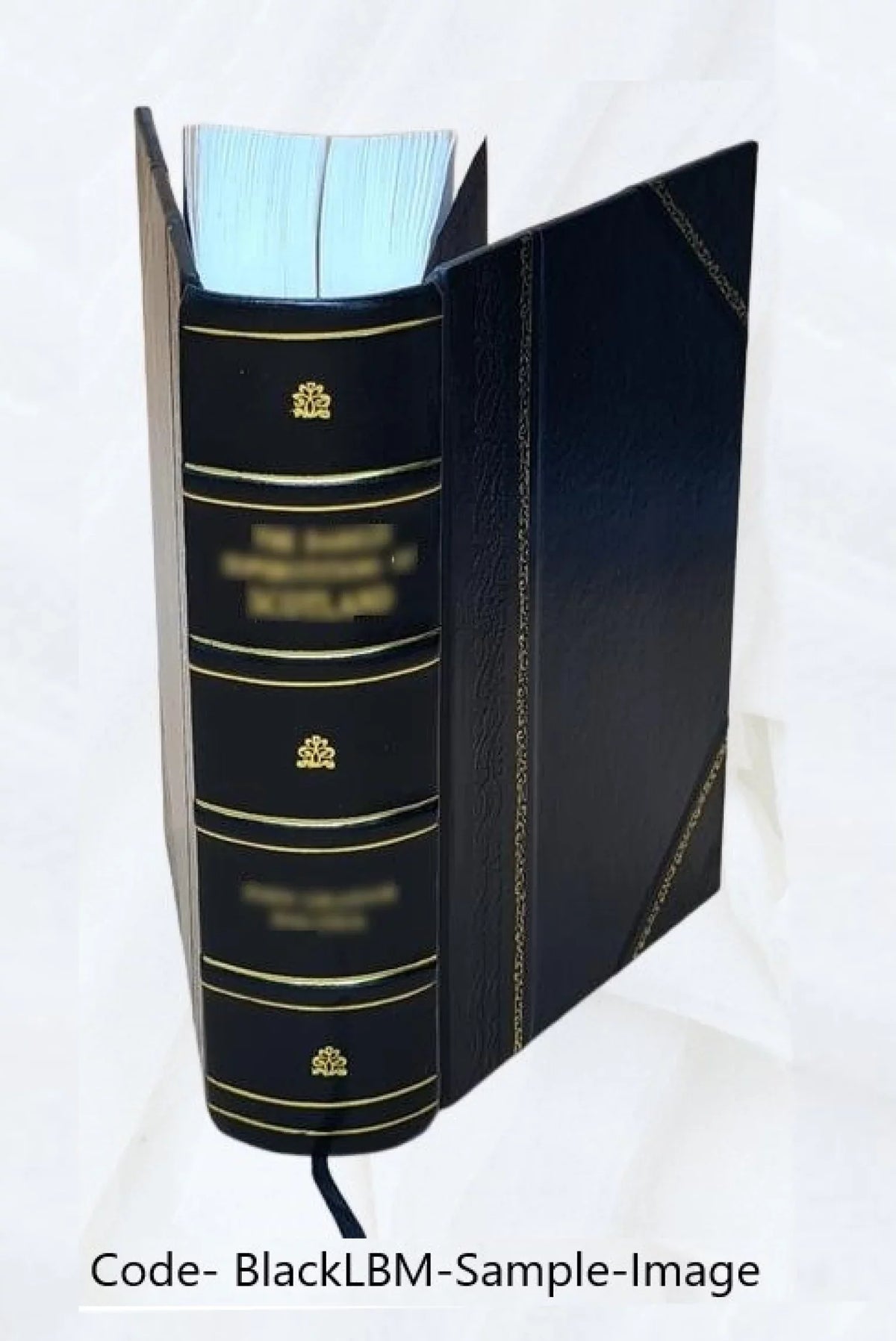 '- Student Text [Leather Programmed Bound] - German Introduction FSI