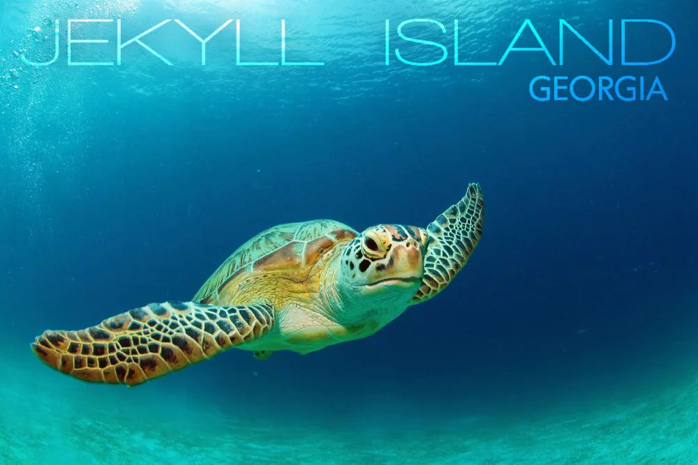 Sea Piece for Island, (19x27 500 Puzzle Family, Georgia, Jigsaw in Premium inches, Jekyll Made USA) Adults and Turtle
