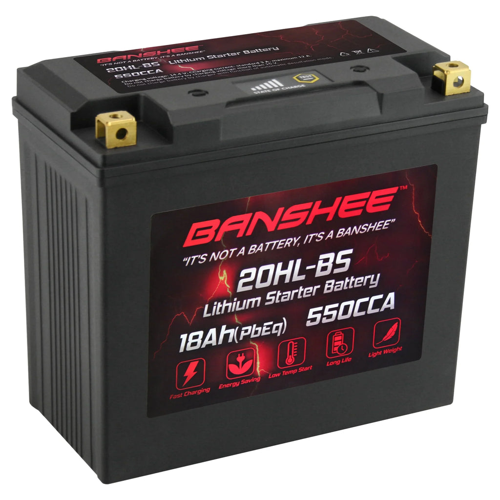 2002 American Iron with LiFePO4 Banshee Battery 2001 Compatible to Motorsports Ranger YTX20L-BS Horse