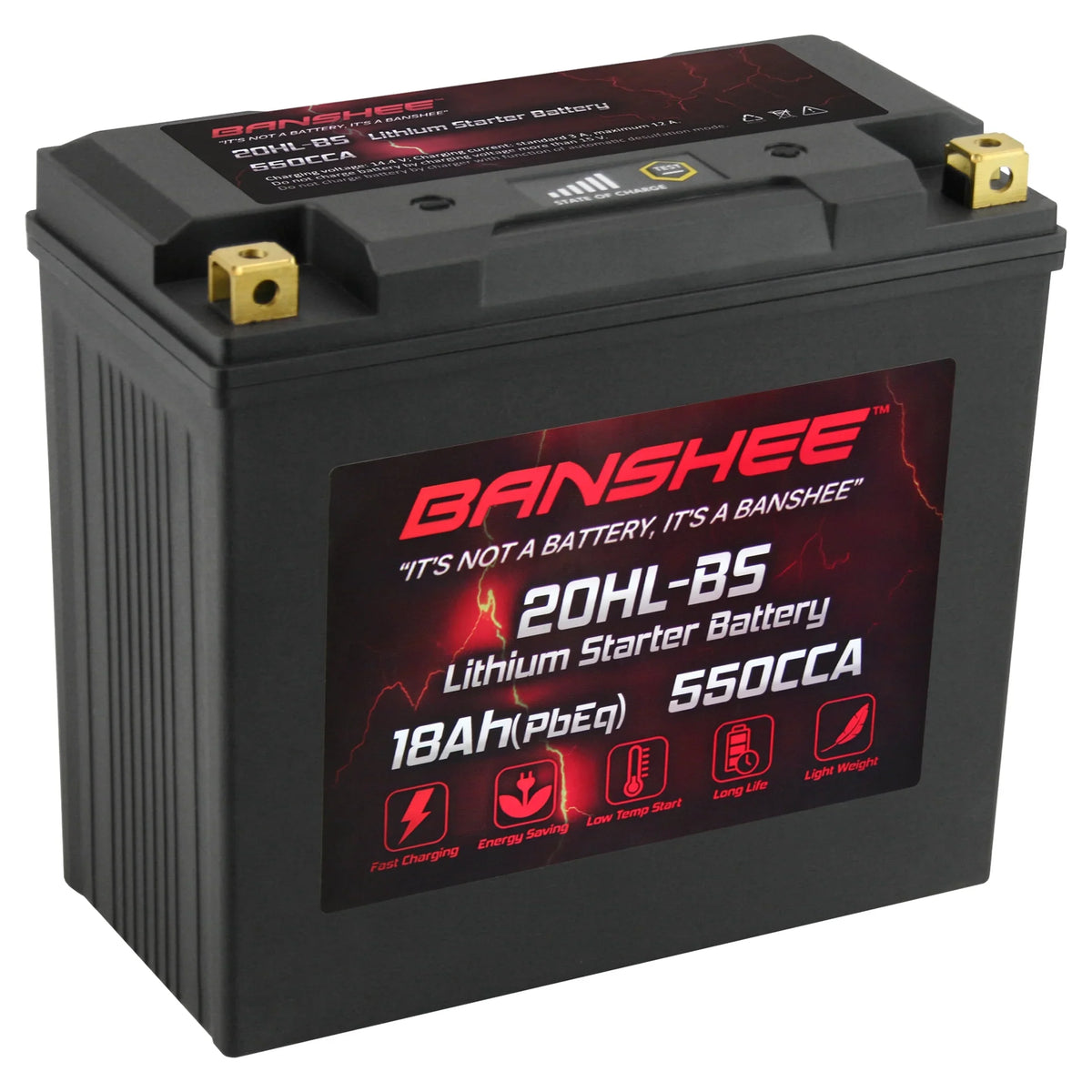 2002 American Iron with LiFePO4 Banshee Battery 2001 Compatible to Motorsports Ranger YTX20L-BS Horse