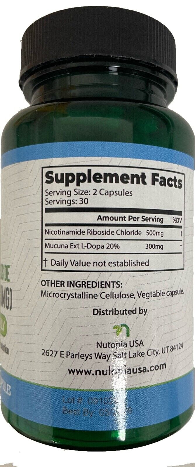 Booster Riboside Nicotinamide Veg NR Capsules) - 500mg (60 NAD+