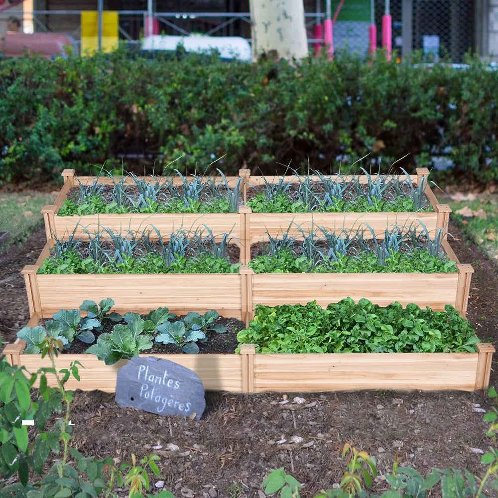 Design Raised Planter Alden Bed Yard for Greenhouse Box Patio Garden Wooden