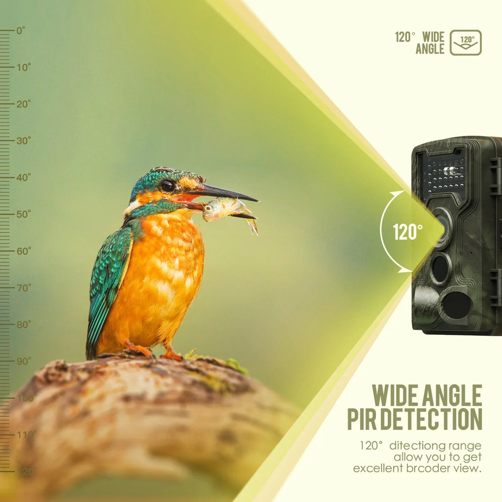 2.0 Inch Night-Visions Night Day Outdoor TFT Hunts 1080P Color 32MP Trail Infrared Camera Use Detection Camera Camera Waterproof IP66 Display Field