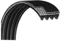 6PJ1108 13048 Drive Belt Upright Jason Stepper StairMaster Flexonic Works Motor Commercial