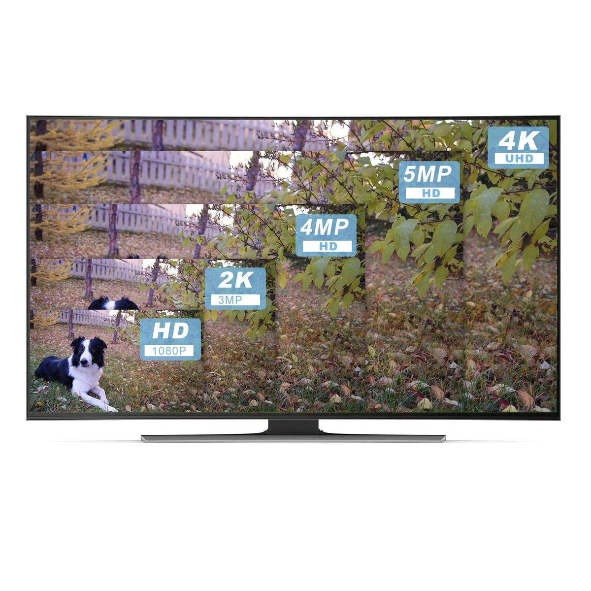 Anpviz Video Embedded Network for Recording, NVR, PoE Play HDMI/VGA 64CH Recorder & 4K Plug Output Simultaneous 12MP Video 24/7