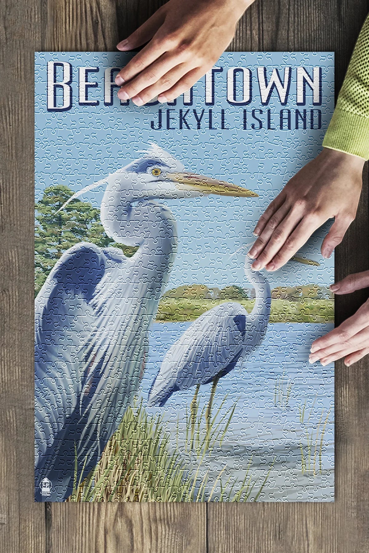 Jekyll (19x27 in Premium Family, inches, Island, and Puzzle for Jigsaw Blue Georgia, Herons Beachtown, Piece Made USA) Adults 500