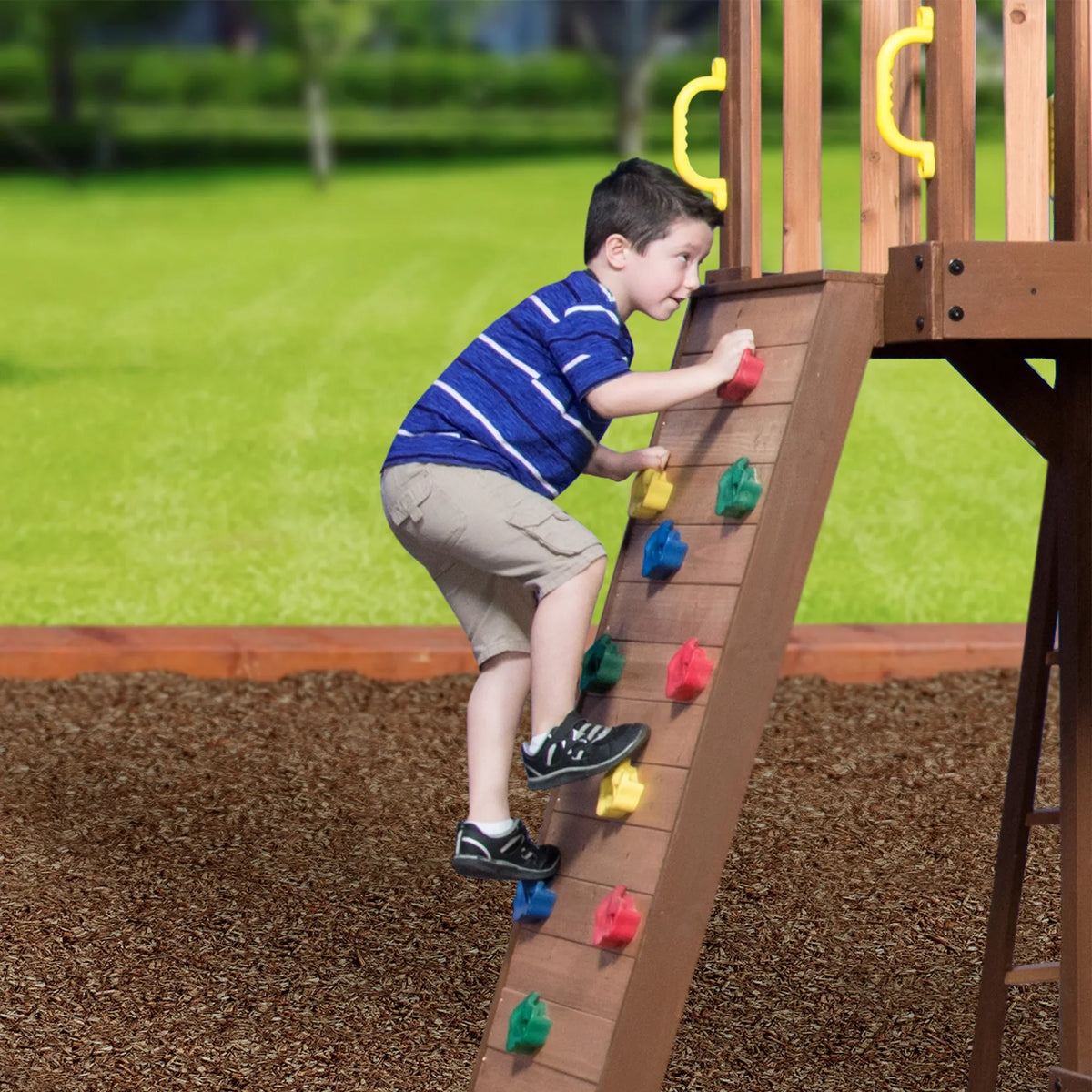 Triumph Swing Backyard Set Discovery Mount
