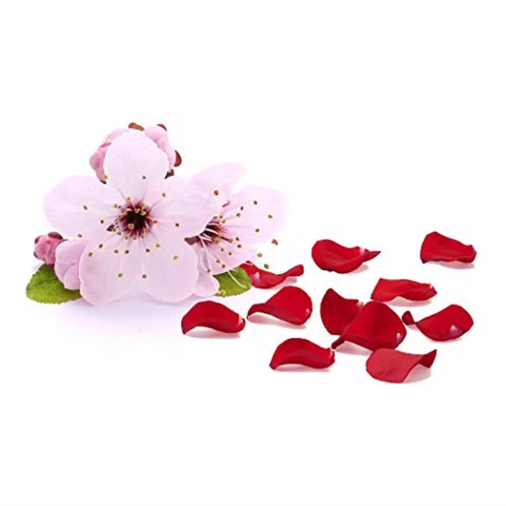 Rose Pro-Vitamin Wavy Color of 3) Curly Potion Super Smooths Serum, Petals, 4 Free, Paraben Ultra Cherry GIOVANNI oz. Blossom Aloe Hair & Safe (Pack Vera, 2chic Silkening & Luxurious B5, Hair,