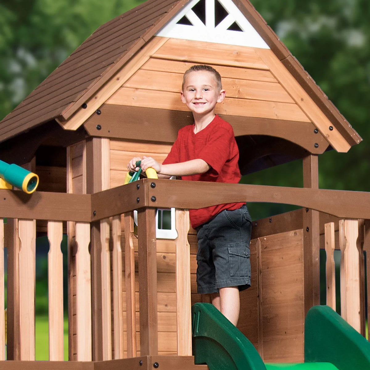 Triumph Swing Backyard Set Discovery Mount