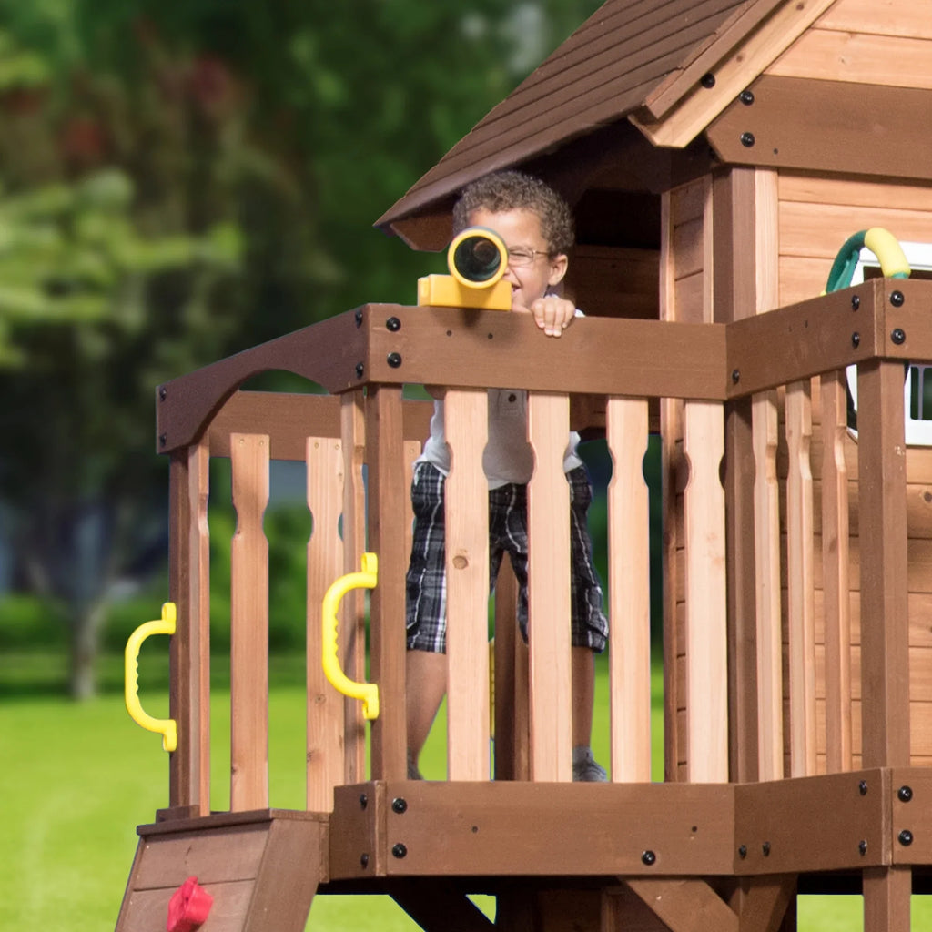Triumph Swing Backyard Set Discovery Mount