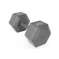 CAP Iron Dumbbell, Barbell Hex 55lb Cast Single