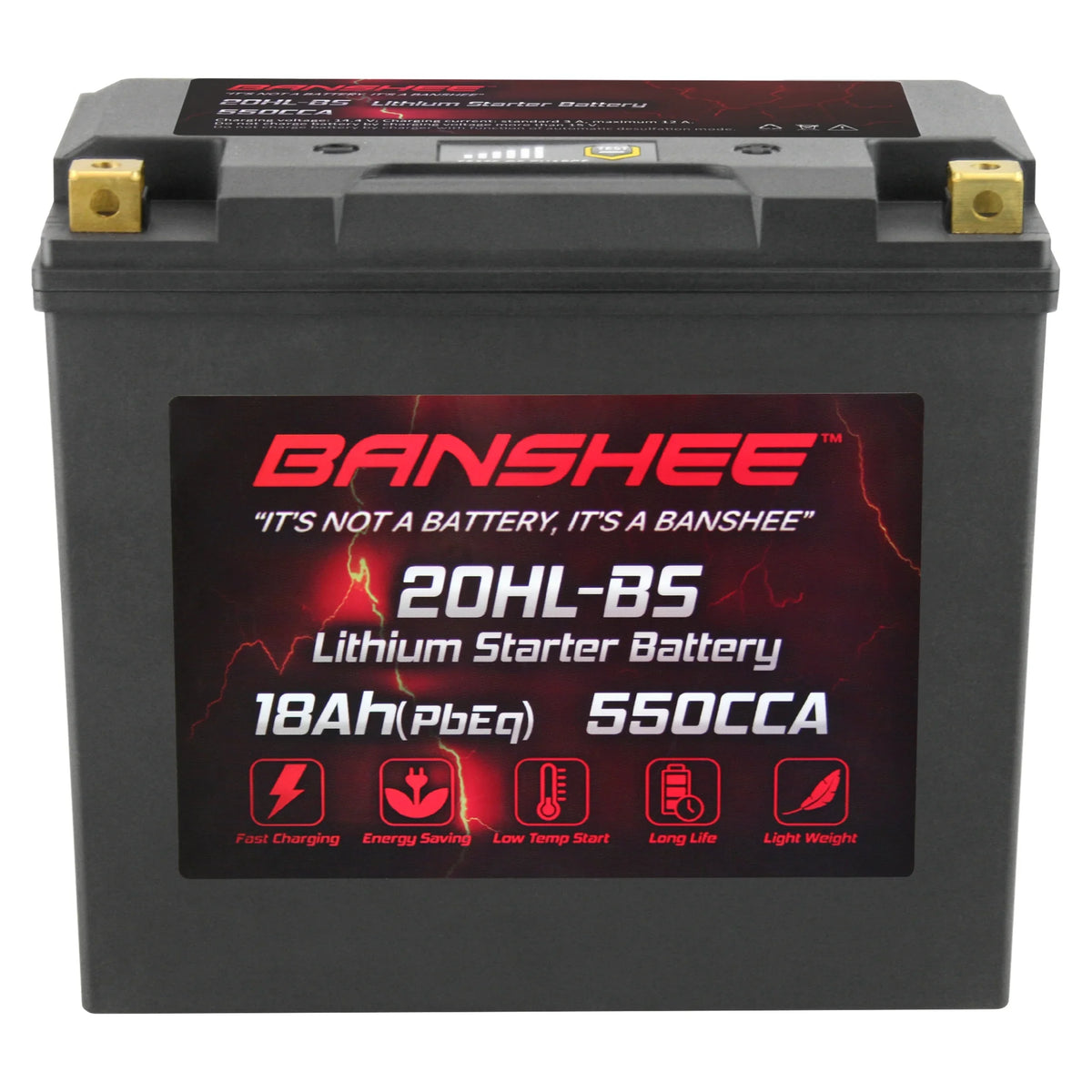 2002 American Iron with LiFePO4 Banshee Battery 2001 Compatible to Motorsports Ranger YTX20L-BS Horse