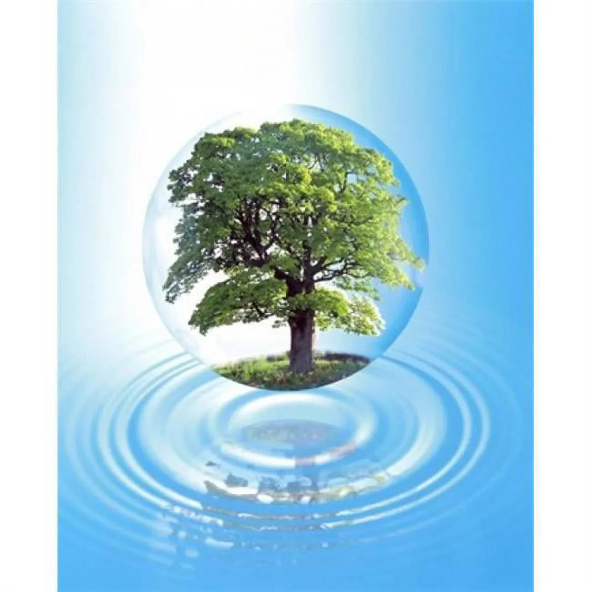 full with clear reflection Print a x a large sphere floats by Poster 24 20 water - ring with tree over A